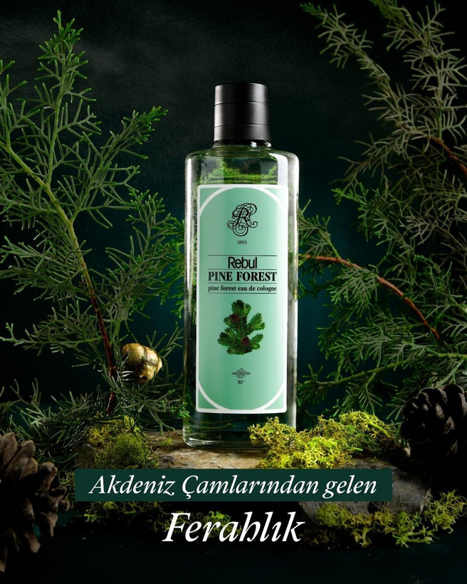 کولونیا ریبول REBUL مدل PINE FOREST حجم 250 میلی لیتر